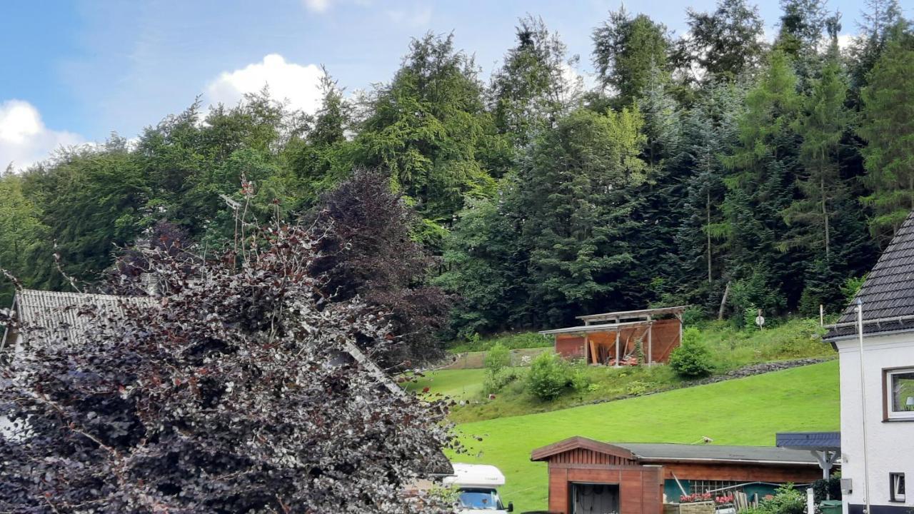 Yalet Ferienhaus 2 Appartementen Vlakbij Willingen Brilon-Wald ภายนอก รูปภาพ